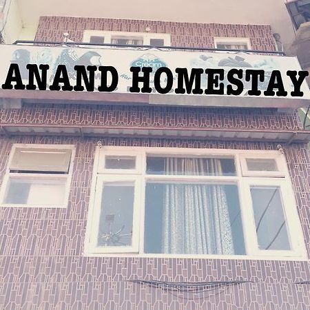 Anand Homestay Chail Dış mekan fotoğraf